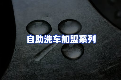 自助洗车加盟系列